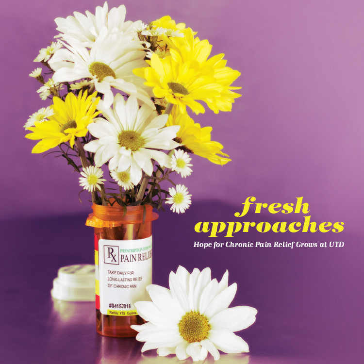 Read the Latest <em>UT Dallas Magazine</em>
